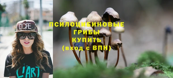 ALPHA PVP Баксан