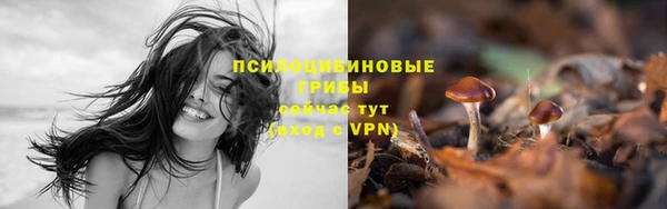 ALPHA PVP Баксан