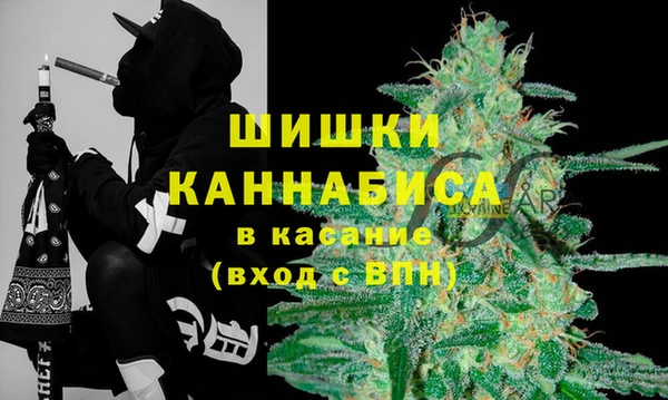 трава Балахна
