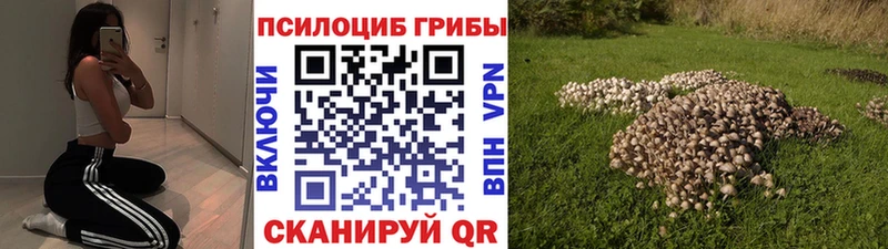 Галлюциногенные грибы мицелий  сайты даркнета наркотические препараты  Лукоянов  купить  