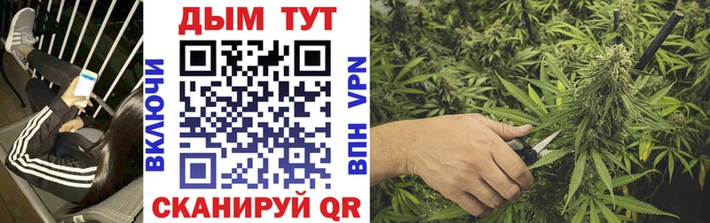 Конопля VHQ  Лукоянов 